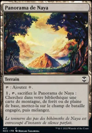Panorama de Naya
