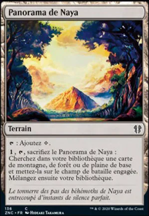 Panorama de Naya