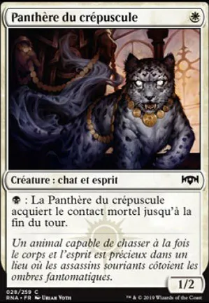 Panthère du crépuscule