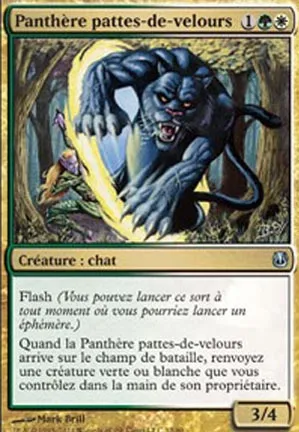 Panthère pattes-de-velours