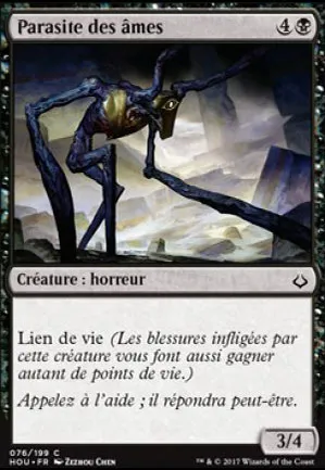 Parasite des âmes