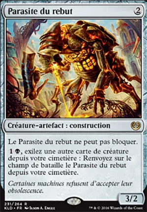 Parasite du rebut