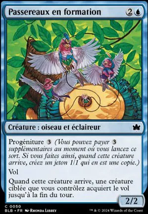 Passereaux en formation