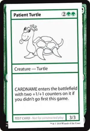 Patient Turtle