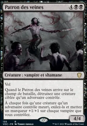 Patron des veines