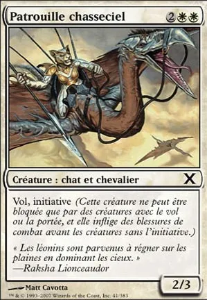 Patrouille chasseciel