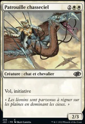 Patrouille chasseciel