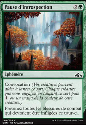 Pause d'introspection
