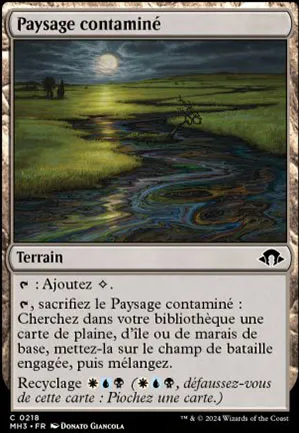 Paysage contaminé
