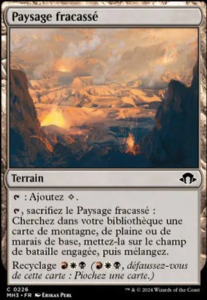 Paysage fracassé
