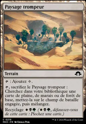 Paysage trompeur