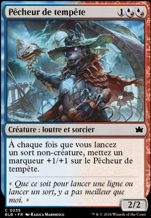 Pêcheur de tempête