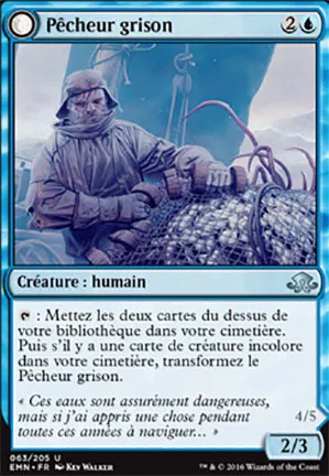 Pêcheur grison //  Baudroie sinistre