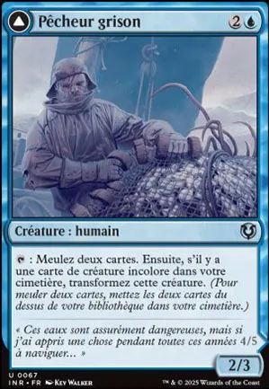 Pêcheur grison //  Baudroie sinistre