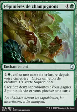 Pépinières de champignons