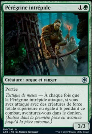 Pérégrine intrépide