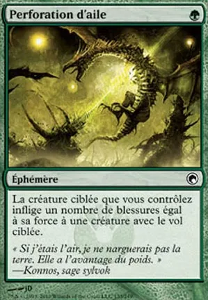 Perforation d'aile