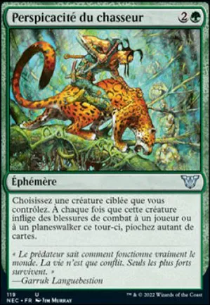 Perspicacité du chasseur