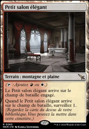Petit salon élégant