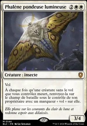 Phalène pondeuse lumineuse