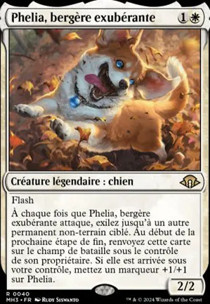 Phelia, bergère exubérante