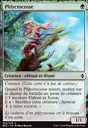 Phlyctocosse