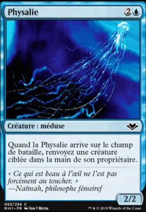 Physalie