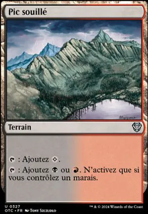 Pic souillé