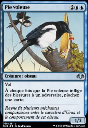Pie voleuse