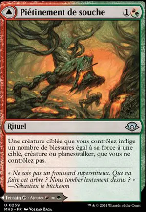 Piétinement de souche // Clairière de brûlesaules