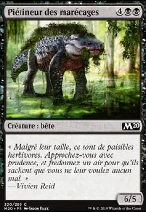 Piétineur des marécages