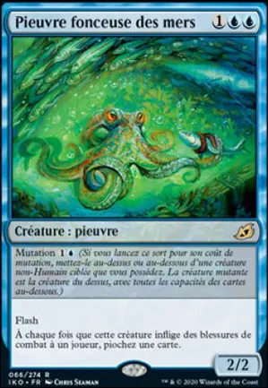 Pieuvre fonceuse des mers