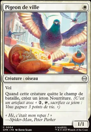 Pigeon de ville