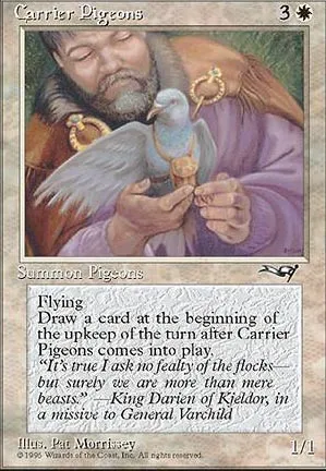 Pigeons voyageurs