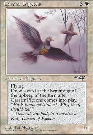 Pigeons voyageurs