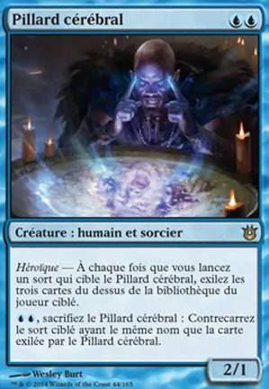 Pillard cérébral