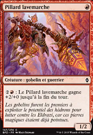 Pillard lavemarche