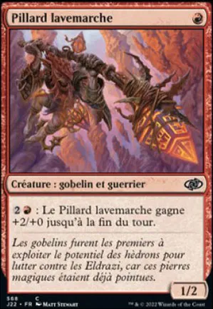 Pillard lavemarche