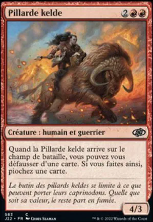 Pillarde kelde