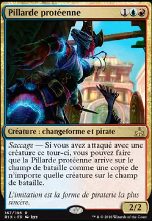 Pillarde protéenne