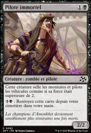 Pilote immortel
