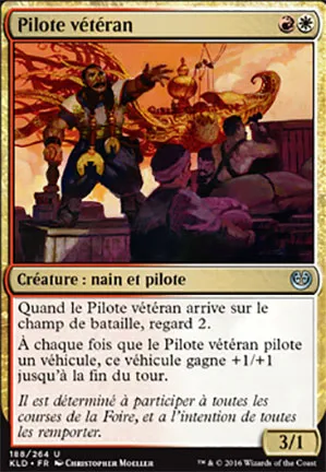 Pilote vétéran