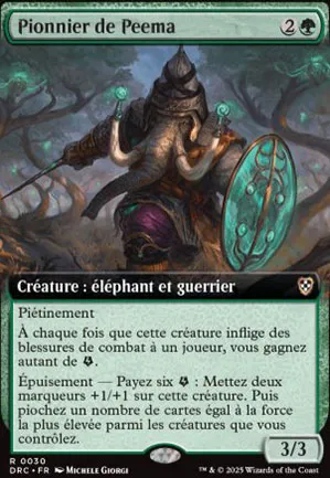 Pionnier de Peema