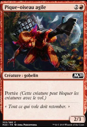 Pique-oiseau agile
