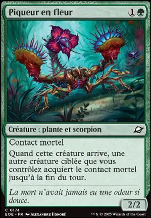 Piqueur en fleur