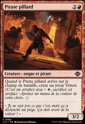 Pirate pillard