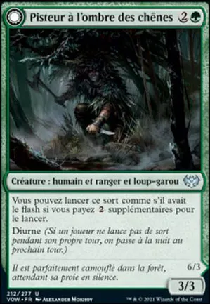 Pisteur à l'ombre des chênes // Embusqueur au clair de lune