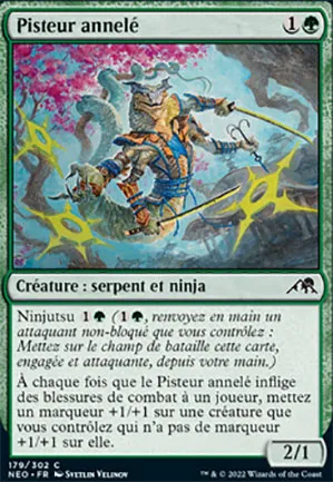 Pisteur annelé