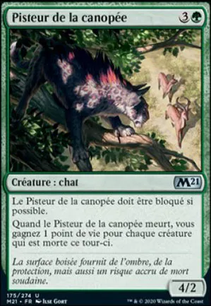 Pisteur de la canopée