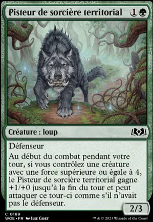 Pisteur de sorcière territorial